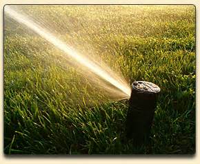 irrigation companies traverse city  Send Message