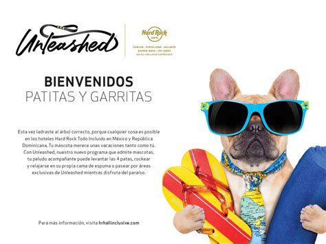 is hard rock ac pet friendly  Age and breed restrictions apply