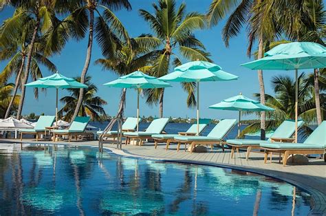 islamorada all inclusive resorts Islander Resort is a serene slice of paradise in the Florida Keys, and we've fully renovated for even grander getaway experiences