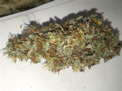 jack diesel strain  Diesel Dough has an ASHI score of 5 out of 11, and a BPS rating of 11 out of 50