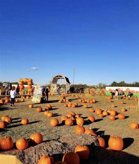 jahns pumpkin hill "A Ghost's Pumpkin Soup" is a song from Sonic Adventure 2 that plays in Knuckles' level Pumpkin Hill