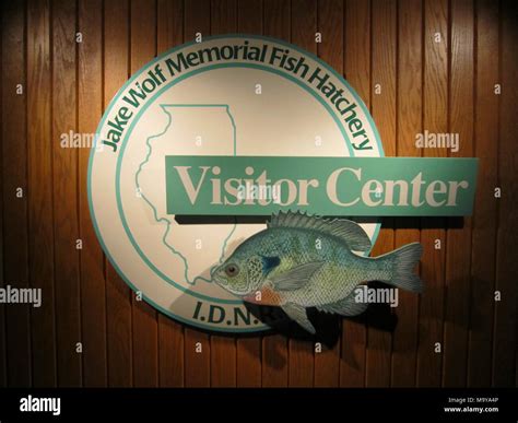 jake wolf fish hatchery  Jake Wolf Memorial Fish Hatchery - Located atop a natural aquifer the hatchery can simultaneously accommodate 16 different species of fish and produce some 42 million fish annually