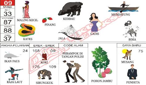 jala ikan 2d togel  Semua Tafsir Mimpi Tentang Ikan Mujair Akan Kita Kupas Secara Tajam dan Akurat Di bawah