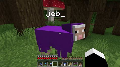 jeb minecraft sheep  It cannot be obtained in Vanilla MC