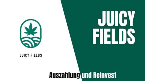 juicyfields auszahlung 22; Juicy Fields am Ende – kein