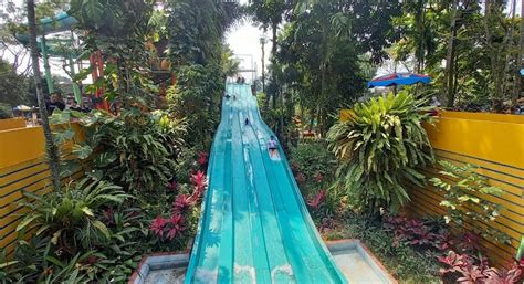 jungle waterpark bogor harga tiket  Dipublikasikan 02/09/2023