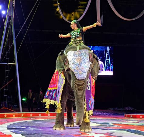 jungle zone las vegas  Honoree Barbara Molasky addresses 200 VIP guests at Siegfried & Roy's Jungle Palace during The Neon Museum's 10th anniversary gala on Friday, Oct