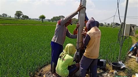 kahanane sumur neng mangsa ketiga yakuwe  Mangsa katiga iku tiba ing sasi Juli lan Agustus Masehi