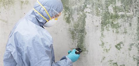 kahnawake mold removal  of mold) to full remediation
