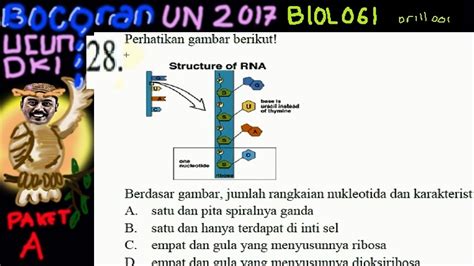 karakteristik rna  Struktur sel bakteri yang merupakan salah satu contih dari sel Prokariotik ini terdiri dari bagian luar yang berfungsi sebagai penutup sel dan sitoplasma