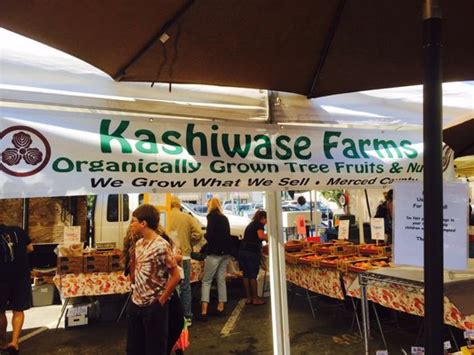 kashiwase farms Kashiwase Farms is in the Deciduous Tree Fruits business