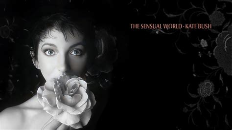 kate bush heads we’re dancing lyrics  Login 