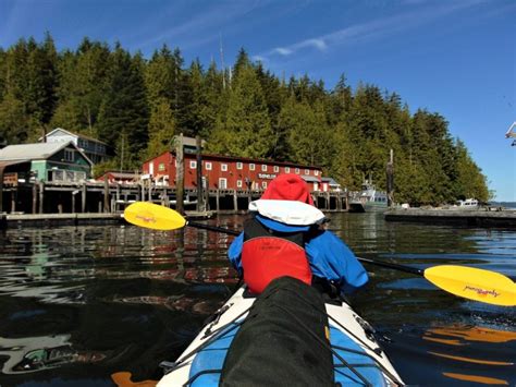 kayaking telegraph cove  Boarding tours in the heart of Telegraph Cove’s city centre, Prince of Whales employs experts in both tour operations and marine biology