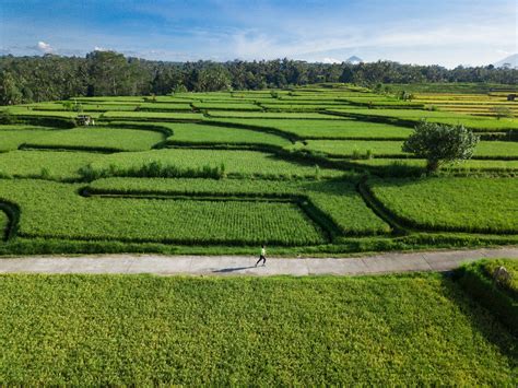 kayon yaiku  Kawasan Kayoon sekarang sudah disulap menjadi bersih, rapi dan nyaman, dihuni oleh ratusan pedagang yang bergabung dalam Persatuan Pedagang dan Pengrajin Batu Permata Kayoon (P3-BAPIN)