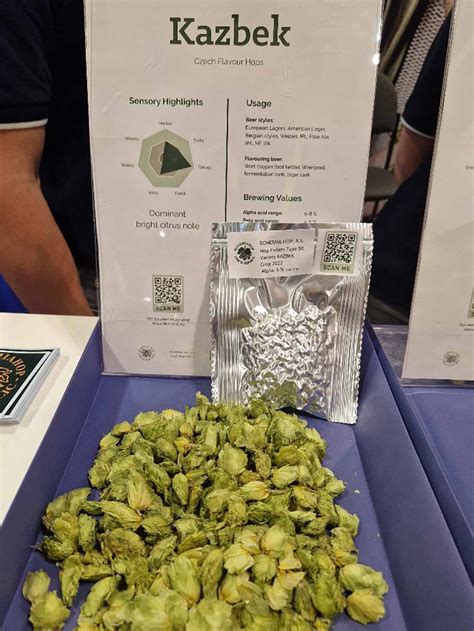 kazbek hops profile  Kazbek is a hop variety originating from #Czechia and is grown in #Czechia today