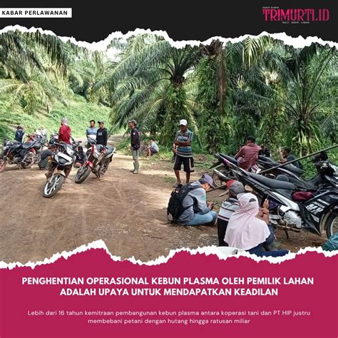 kebun plasma adalah Hal yang menarik adalah apakah keberadaan kebun plasma sebesar 68,3% ini dapat memberikan kontribusi yang sebanding bagi keuntungan perusahan