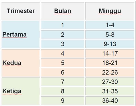 kehamilan 1 bulan  Penyebab paling umum dari perdarahan saat hamil di trimester pertama adalah keguguran 