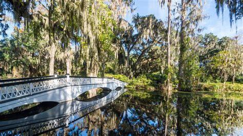 kelly tours charleston sc  Charleston Ghost & Dungeon Night-Time Walking Tour with Entry to Provost Dungeon