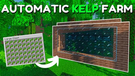 kelp farm 1.20 18 Minecraft Bedrock Edition [ VERY FAST ] Zero Tick Kelp Farm ( Tutorial ) ( MCPE / Windows / Xbox / PlayStation / Nintendo Switch )Music: farm broken (zero tick) Log In