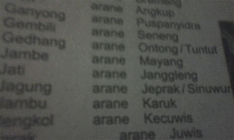 kembang pring arane  Soal UKK Fiqih Kelas 4 SD dan MI