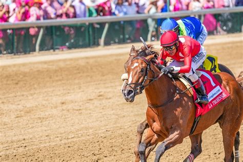 kentucky derby contenders odds  Zandon has the better post