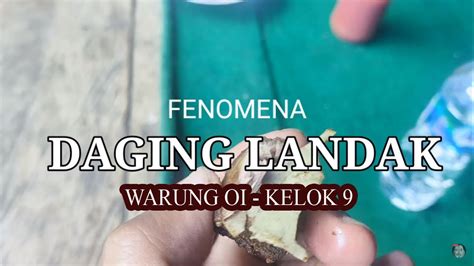 khasiat daging landak  Daging landak mentah boleh dijual dengan harga diantara RM150 – RM180 sekilogram