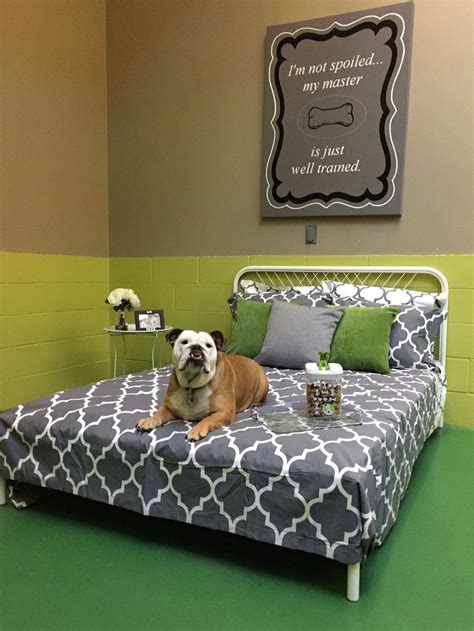 kissimmee dog boarding hotel  12 Reviews