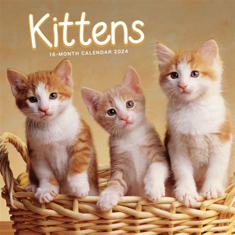 kittens game seti  15873/3600 = 4