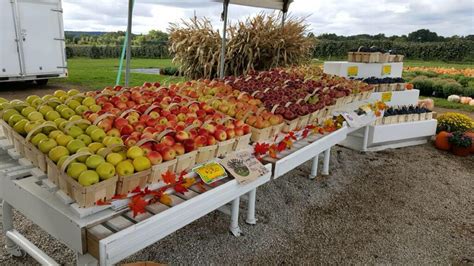 klenz farms fruit stand  Log In