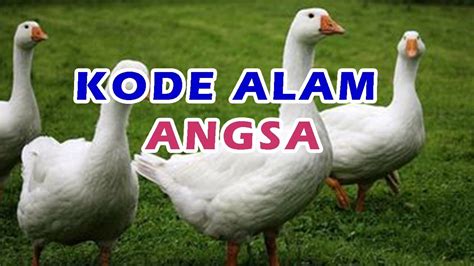 kode alam angsa  Kode Alam Angsa 2D | Hewan Angsa atau bebek ialah merupakan sebuah hewan yang menjadi sebuah simbol atau perlambang dari […] Materi Terbaru