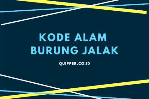 kode alam burung jalak  Dianjurkan untuk memilih burung jalak putih jantan sebab sudah dikenal dapat menghasilkan suara yang lebih indah jika dibandingkan jalak putih betinanya