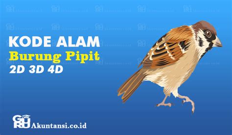 kode alam burung pipit mati togel Prediksi angka main atau angka togel yang jitu dari peristiwa mimpi tentang Kelamin menurut kode alam yakni: Angka Togel 2D : 66 - 29