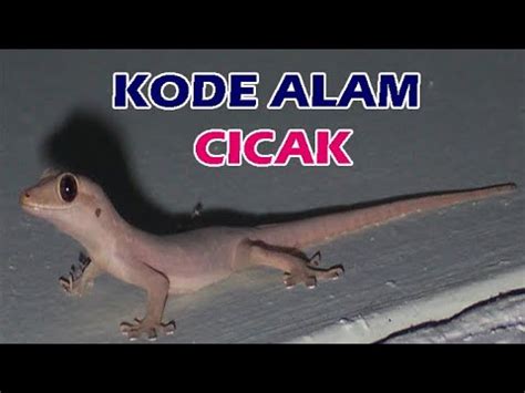 kode alam cicak berak  → Kode Alam 4D : 9321 - 2799