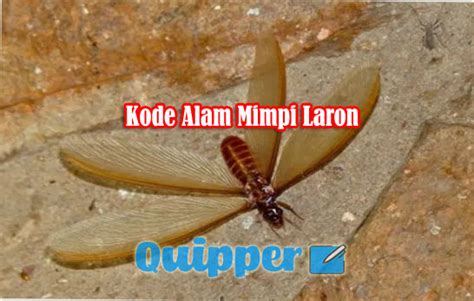 kode alam laron  Mimpi Melihat Laron Mati