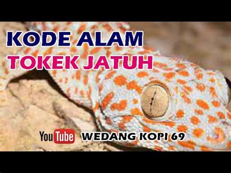 kode alam tokek jatuh  Nomor Togel