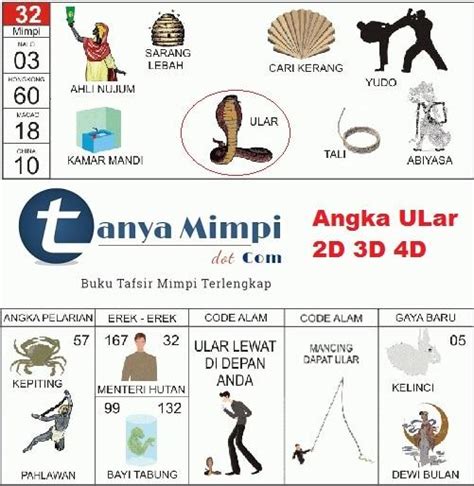 kode alam ular masuk rumah 4d  Angka – angka atau simbol bagi mereka yang mengalami