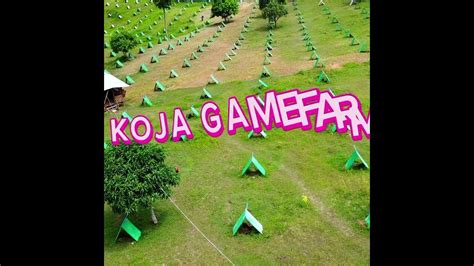 koja gamefarm We look forward to welcoming you to our farm and to Sequim, WA! For any questions, feel free to contact us today at (360) 683-4295! When in Sequim, WA, visiting Olympic Game Farm is a must