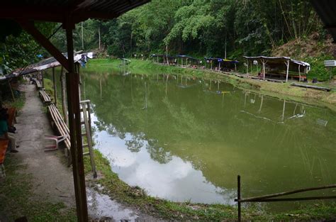 kolam pancing samisuka  Join Facebook to connect with Pancing Borbon Abaday and others you may know