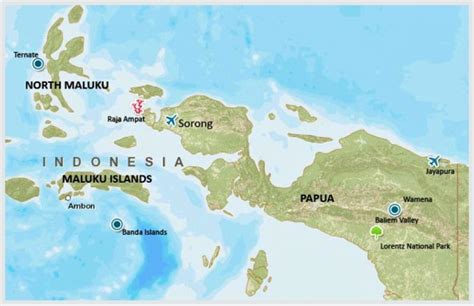 kondisi geografis papua dan maluku berdasarkan peta Kondisi Geografis Pulau Papua dan Maluku, Mulai Batas, Keadaan Alam hingga Luas Daerah - Halaman 2