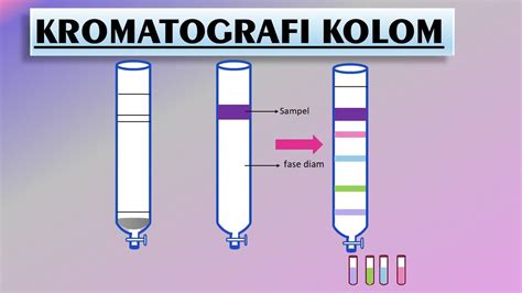 kromatografi kolom jurnal  Hasil dugaan senyawa pada fraksi F1