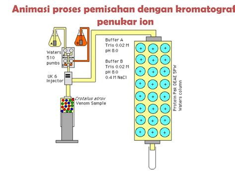 kromatografi penukar ion  Kromatografi pertukaran ion telah digunakan secara luas dalam proses pemisahan dan pemurnian