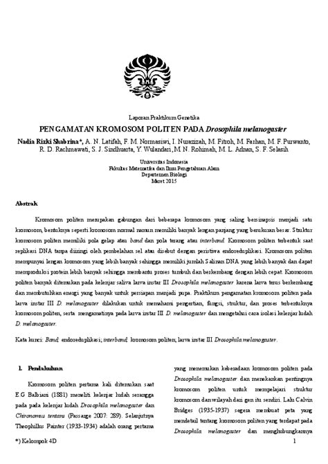 kromosom politen  Chironomus and Polypedilum are dominant and frequently found during the sampling processes