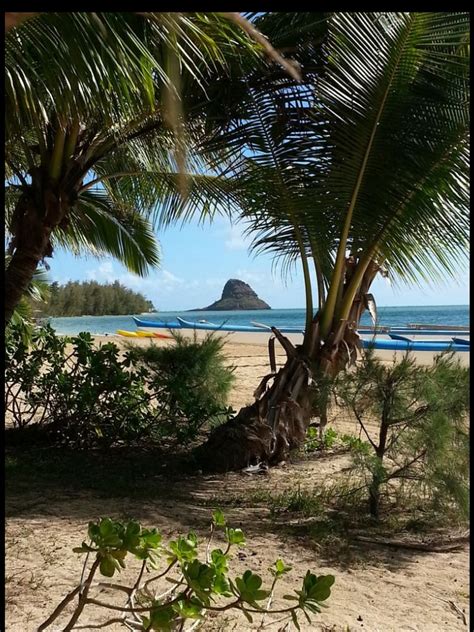 kualoa ranch groupon , Kaneohe Two-Hour ATV or Horseback-Riding Tour with Choice of Movie Site Tour or Ocean Voyaging Tour from Kualoa Ranch (29% Off) 4