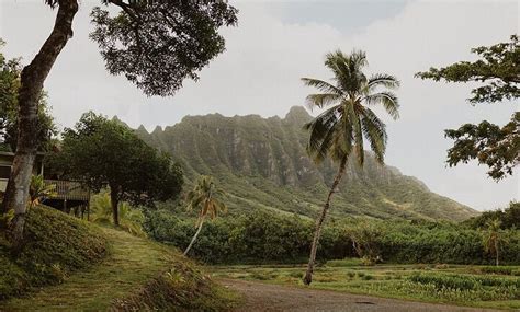 kualoa ranch groupon  — JCPenney Portraits by Lifetouch — Seasonal Photography Session Deals