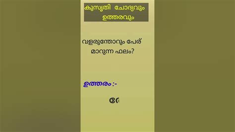 kusurthi chothiyam and answer malayalam 2023 kusruthi chodyam malayalam riddles kusruthi chodyangalu…മലയാളം കുസൃതി ചോദ്യങ്ങൾ | Malayalam Kusruthi Chodyangal