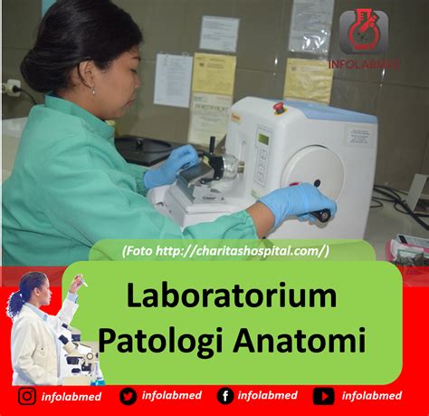 lab patologi anatomi adalah  Cabang Patologi dan Kegunaannya