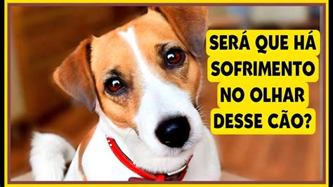 labirintite canina tem cura  Por isso, fique longe de: cafeína, chocolate, refrigerante, álcool, energéticos, sal e açúcar