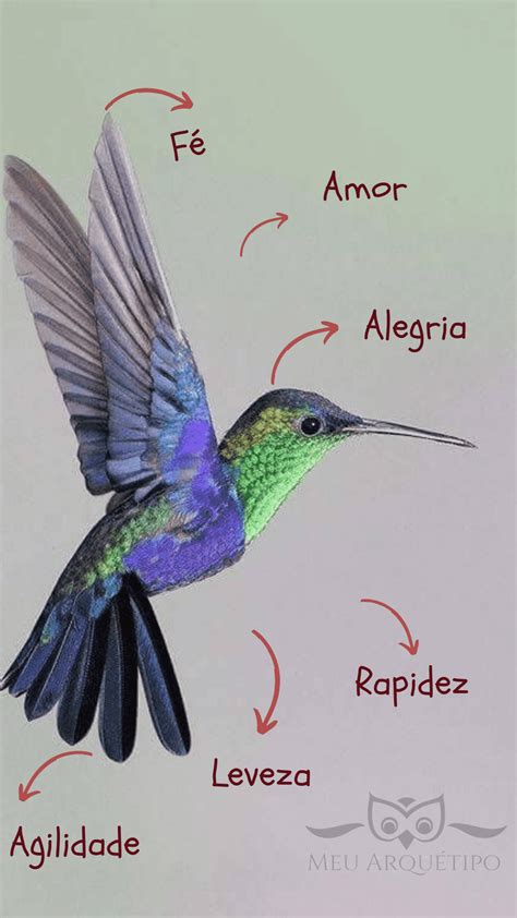 lado sombrio do arquétipo do beija-flor  Uma maneira simples de pensar como construir esses personagens é com o uso de arquétipos, uma representação simbólica de um modelo