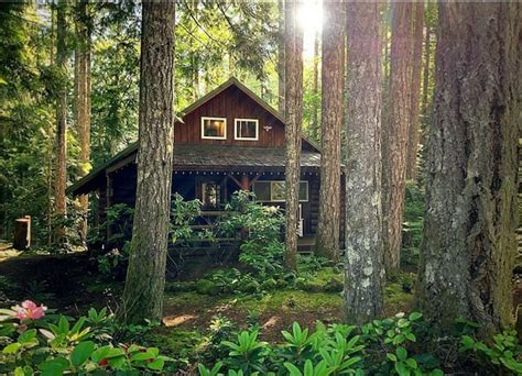 lake cushman cabins  Spa tub