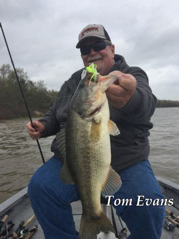 lake fork weekly fishing report  CPW issues hunting and fishing licenses, conducts research to improve wildlife management